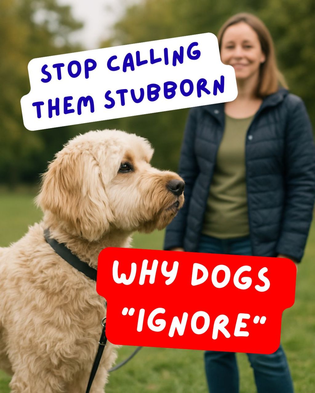 The Myth of the Stubborn Dog: Why Your Dog Isn’t Ignoring You At&nbsp;All