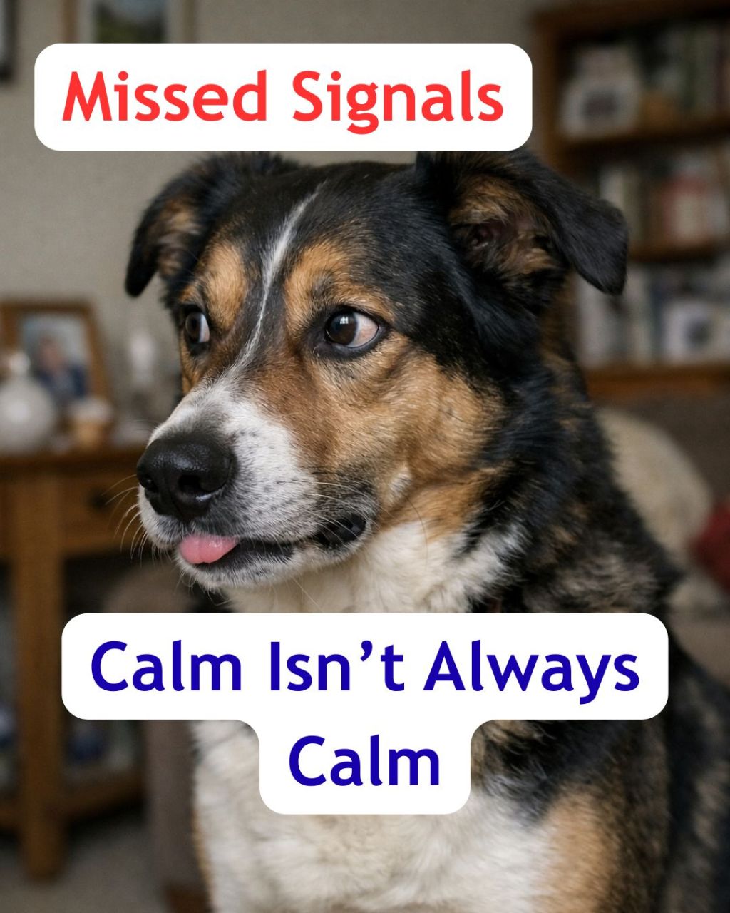 It Didn’t Come Out of Nowhere: The Stress Signals You’re&nbsp;Missing